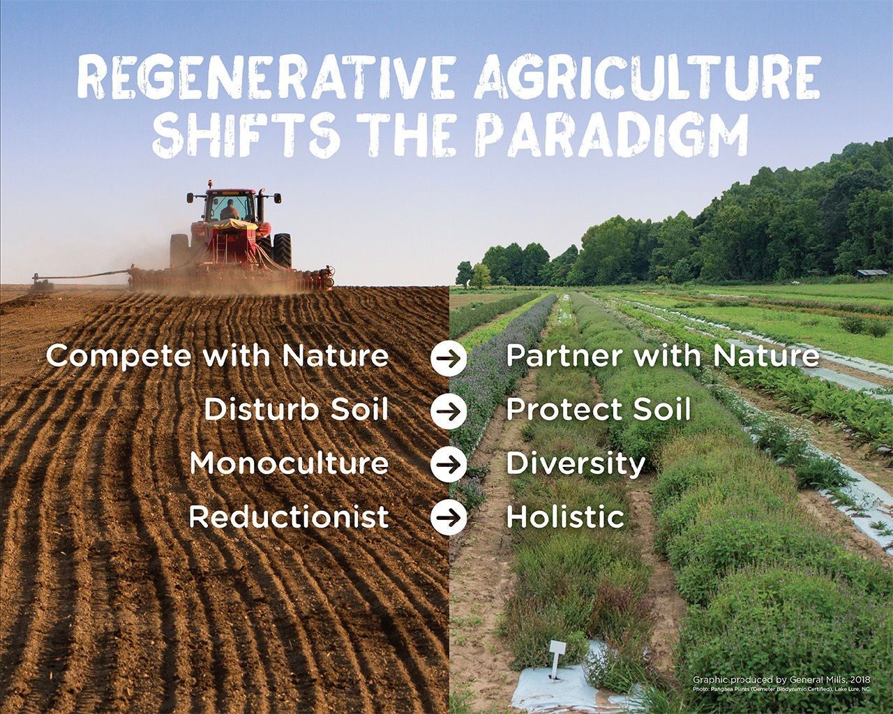 Regenerative Farming Image
