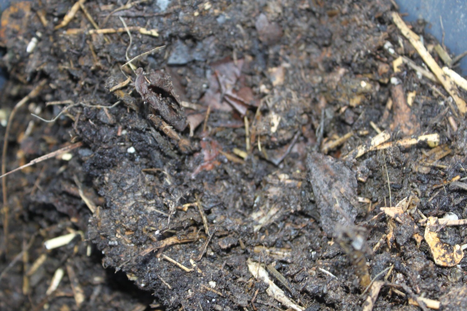 Organic Fertilizer Image